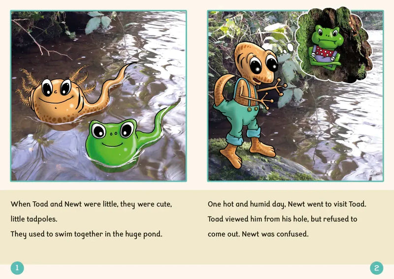 Phonic Books Dandelion Readers Further Spellings and Suffixes Level 4 US - Multiple-component retail product, boxed