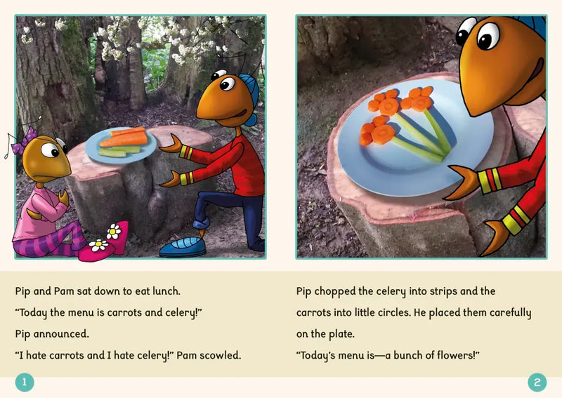 Phonic Books Dandelion Readers Further Spellings and Suffixes Level 4 US - Multiple-component retail product, boxed