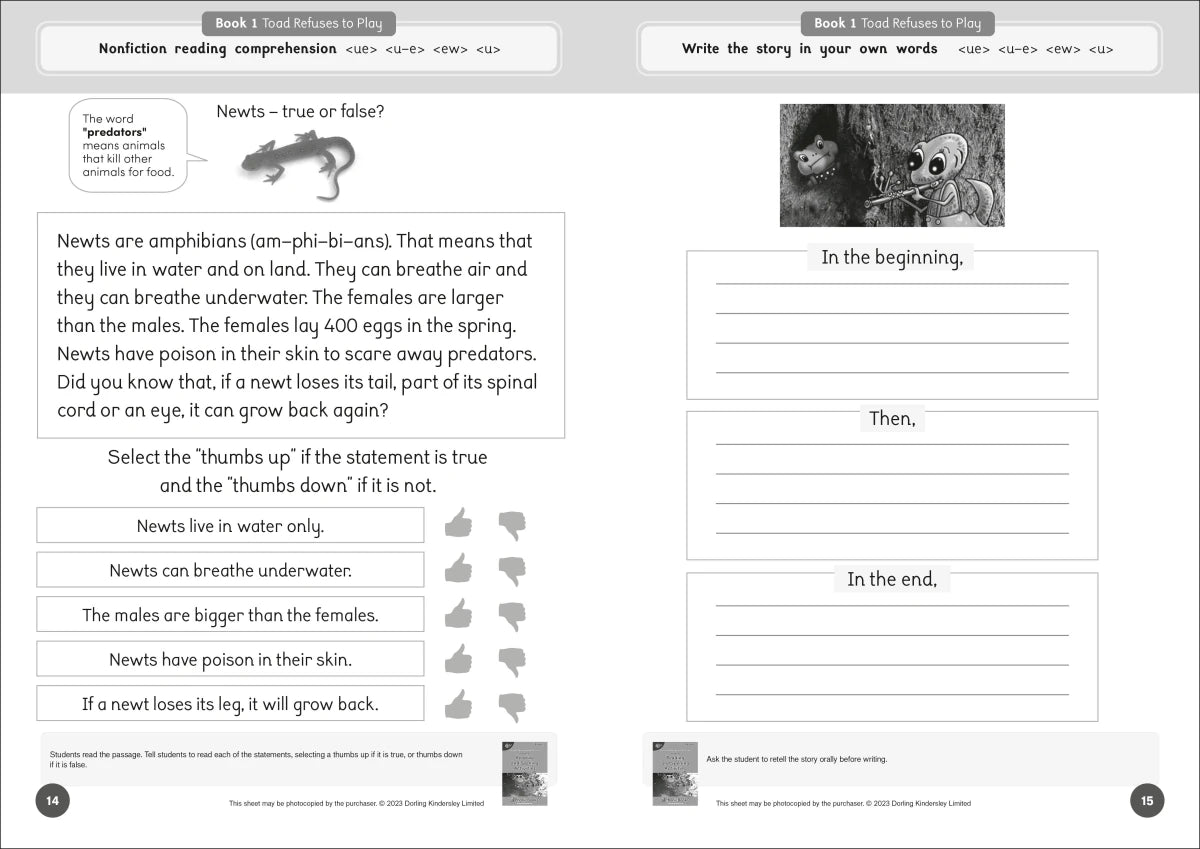 Phonic Books Dandelion Readers Reading and Spelling Activities Further Spellings and Suffixes Level 4 US - Paperback / softback