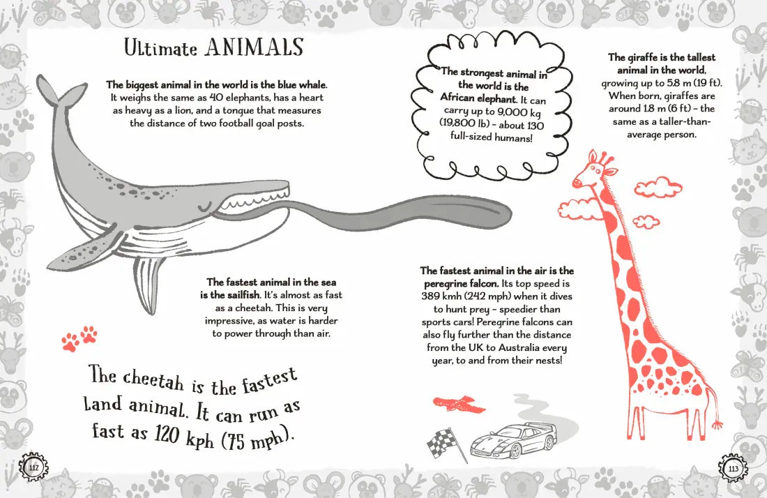 Radzi's Incredible Facts US - Paperback / softback