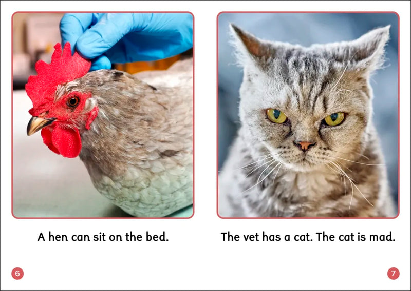 Phonic Books Dandelion World Stages 1-7 (Alphabet Code) US - Multiple-component retail product, boxed