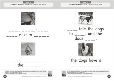 Phonic Books Dandelion World Reading and Writing Activities for Stages 8-15 (Consonant Blends and Consonant Teams) US - Paperback / softback