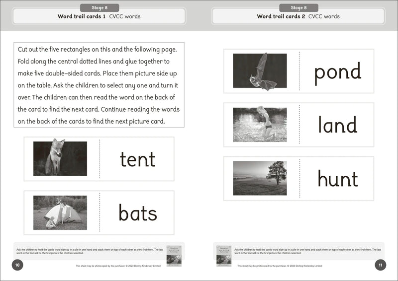 Phonic Books Dandelion World Reading and Writing Activities for Stages 8-15 (Consonant Blends and Consonant Teams) US - Paperback / softback