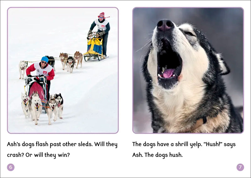 Phonic Books Dandelion World Stages 8-15 (Words with Four Sounds CVCC) US - Multiple-component retail product, boxed