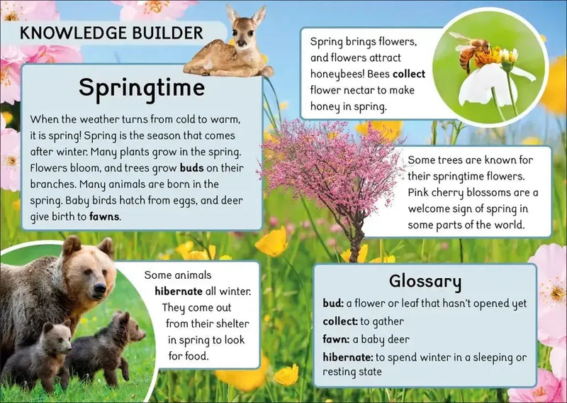 Phonic Books Dandelion World Stages 8-15 (Words with Four Sounds CVCC) US - Multiple-component retail product, boxed