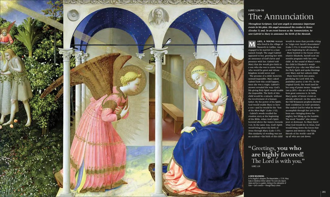 The Illustrated Bible Story by Story US - Hardback