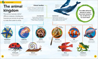The Very Hungry Caterpillar's Very First Animal Encyclopedia US - Hardback