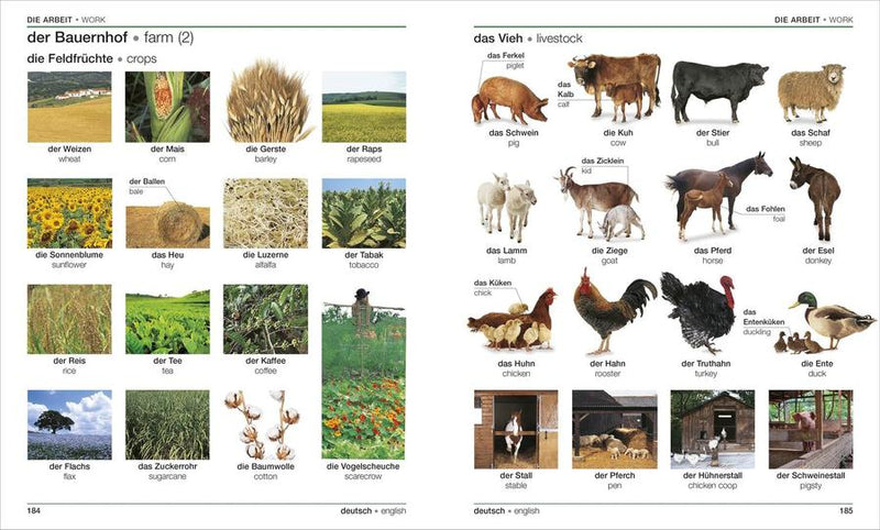 German English Bilingual Visual Dictionary US - Paperback / softback