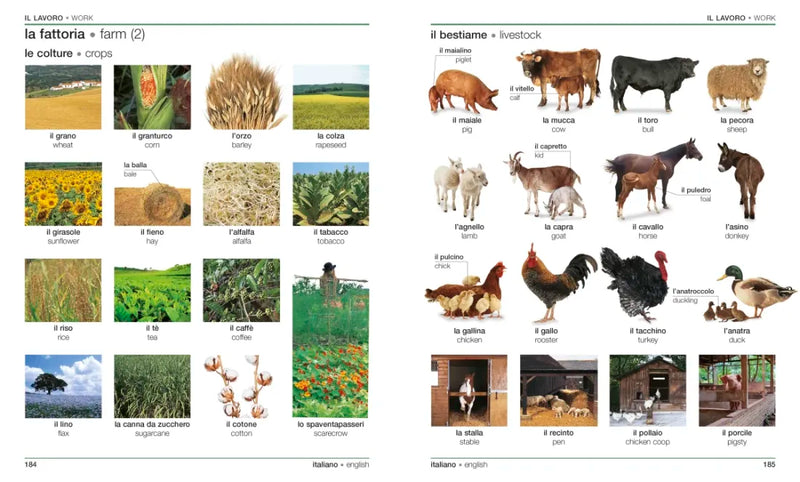 Italian English Bilingual Visual Dictionary US - Paperback / softback