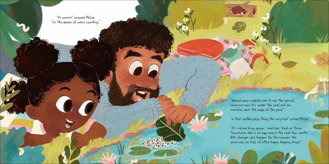 The Pond in the Park US - Hardback