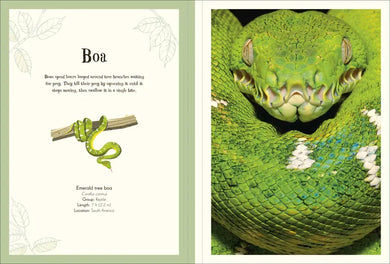An Anthology of Intriguing Animals Poster Book US - Paperback / softback