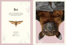 An Anthology of Intriguing Animals Poster Book US - Paperback / softback