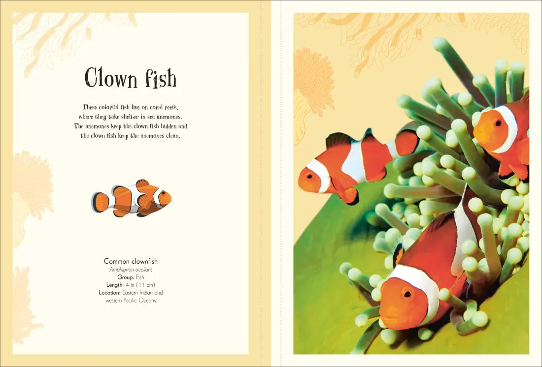 An Anthology of Intriguing Animals Poster Book US - Paperback / softback
