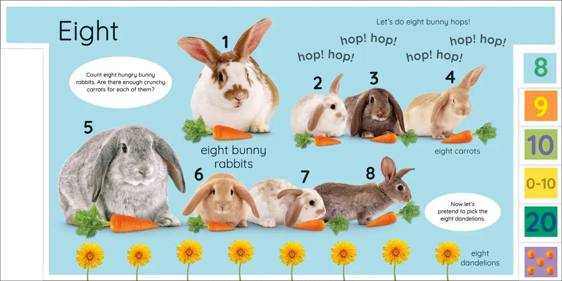 My First Numbers: Let's Get Counting! US - Board book