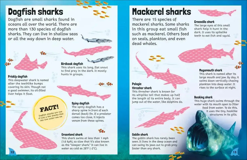 Sticker Encyclopedia Sharks US - Paperback / softback