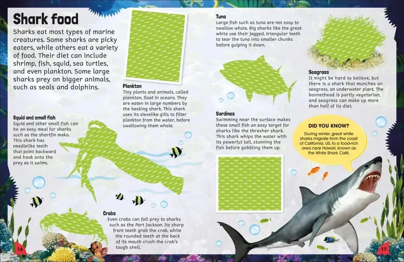 Sticker Encyclopedia Sharks US - Paperback / softback