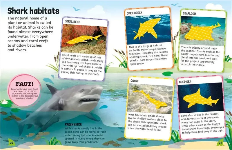 Sticker Encyclopedia Sharks US - Paperback / softback