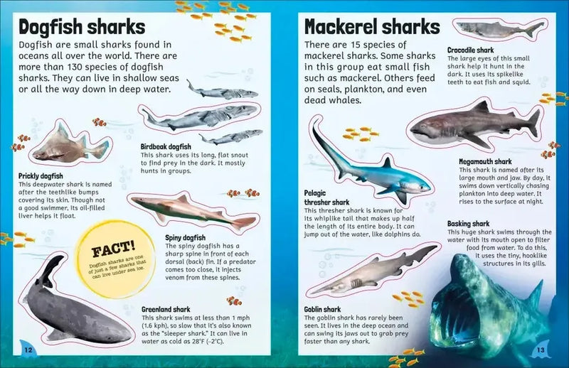 Sticker Encyclopedia Sharks US - Paperback / softback