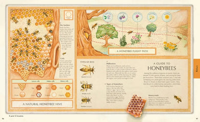 Explore US - Hardback