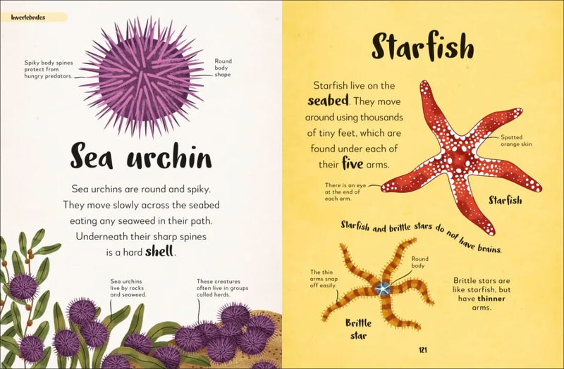 Bedtime Books US - Multiple-component retail product, boxed