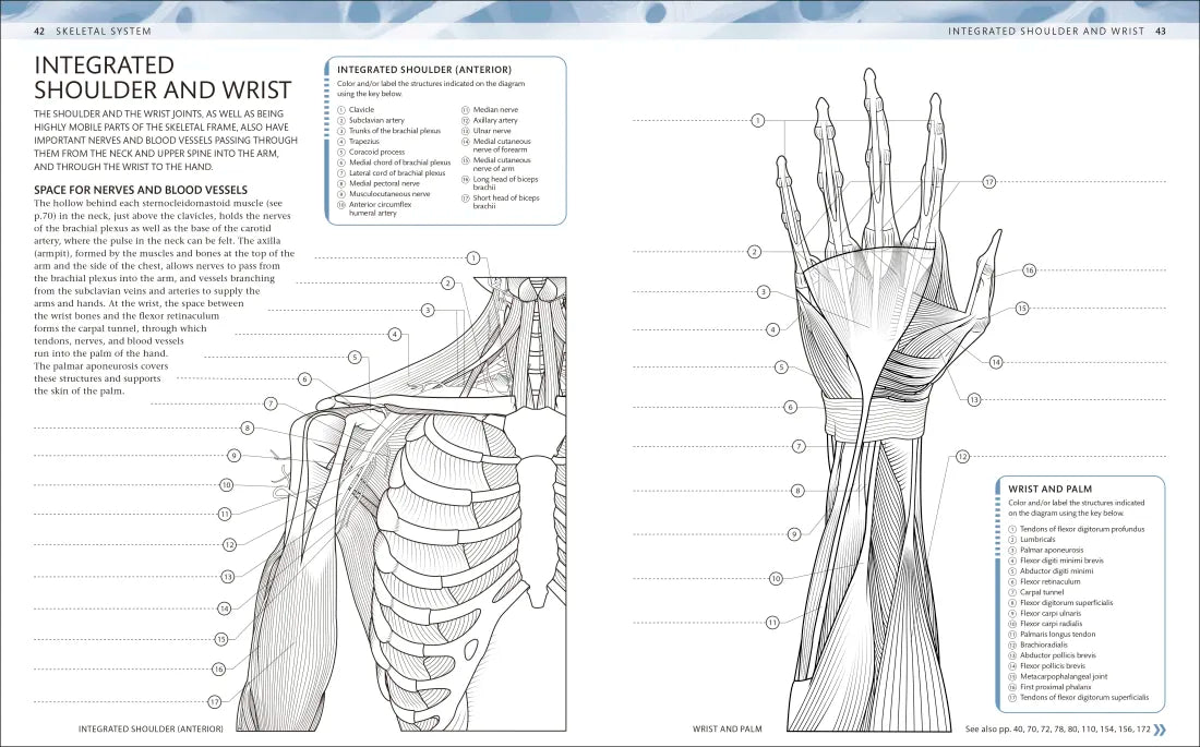 The Human Body Coloring Book US - Book