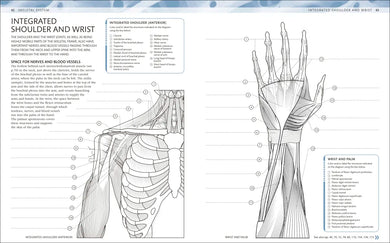 The Human Body Coloring Book US - Book
