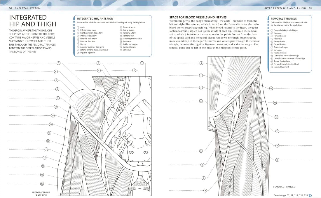 The Human Body Coloring Book US - Book