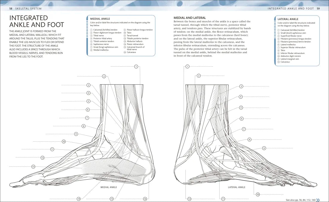 The Human Body Coloring Book US - Book