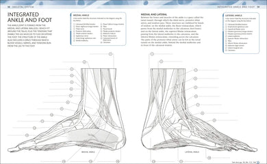 The Human Body Coloring Book US - Book