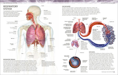 The Human Body Coloring Book US - Book