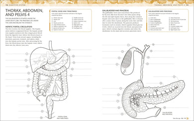 The Human Body Coloring Book US - Book