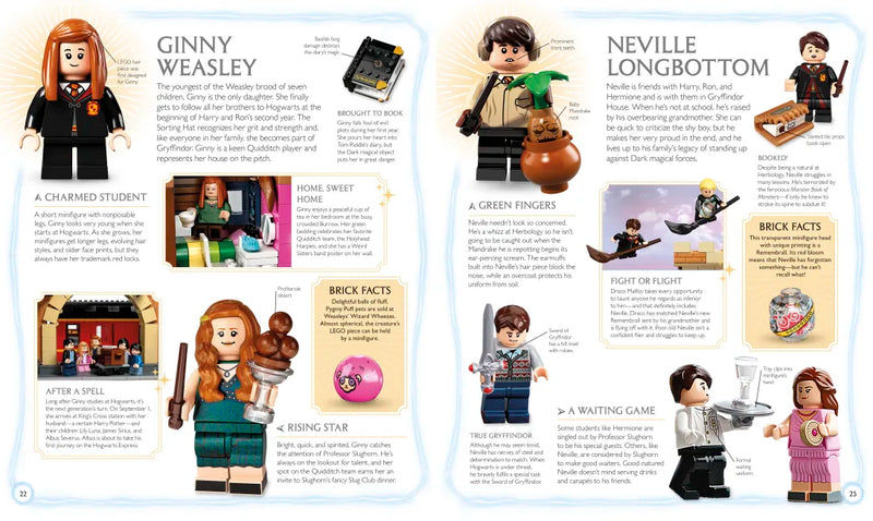 LEGO Harry Potter Visual Dictionary US - Multiple-component retail product