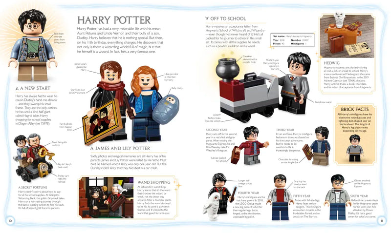 LEGO Harry Potter Visual Dictionary US - Multiple-component retail product