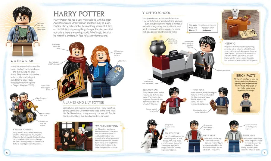LEGO Harry Potter Visual Dictionary (Library Edition) US - Hardback
