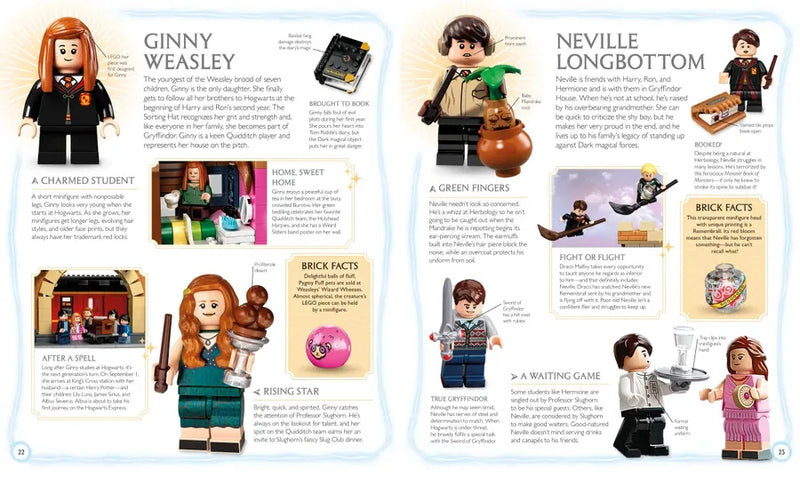 LEGO Harry Potter Visual Dictionary (Library Edition) US - Hardback