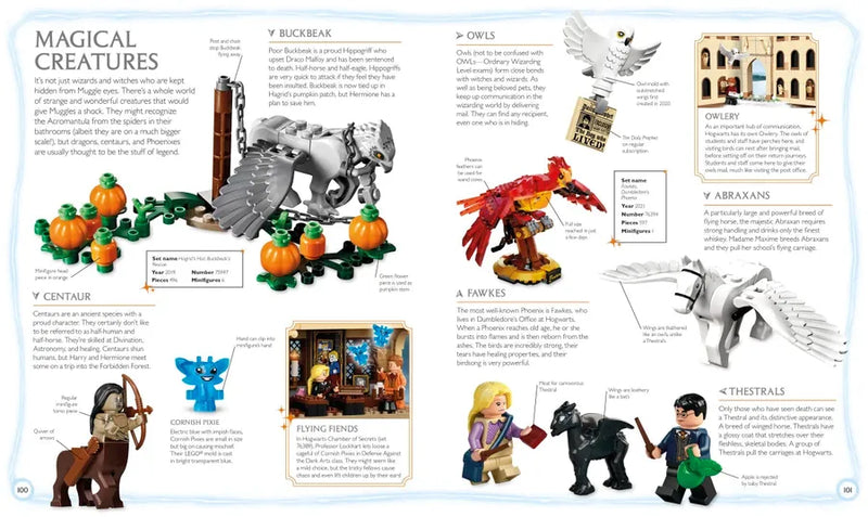 LEGO Harry Potter Visual Dictionary (Library Edition) US - Hardback