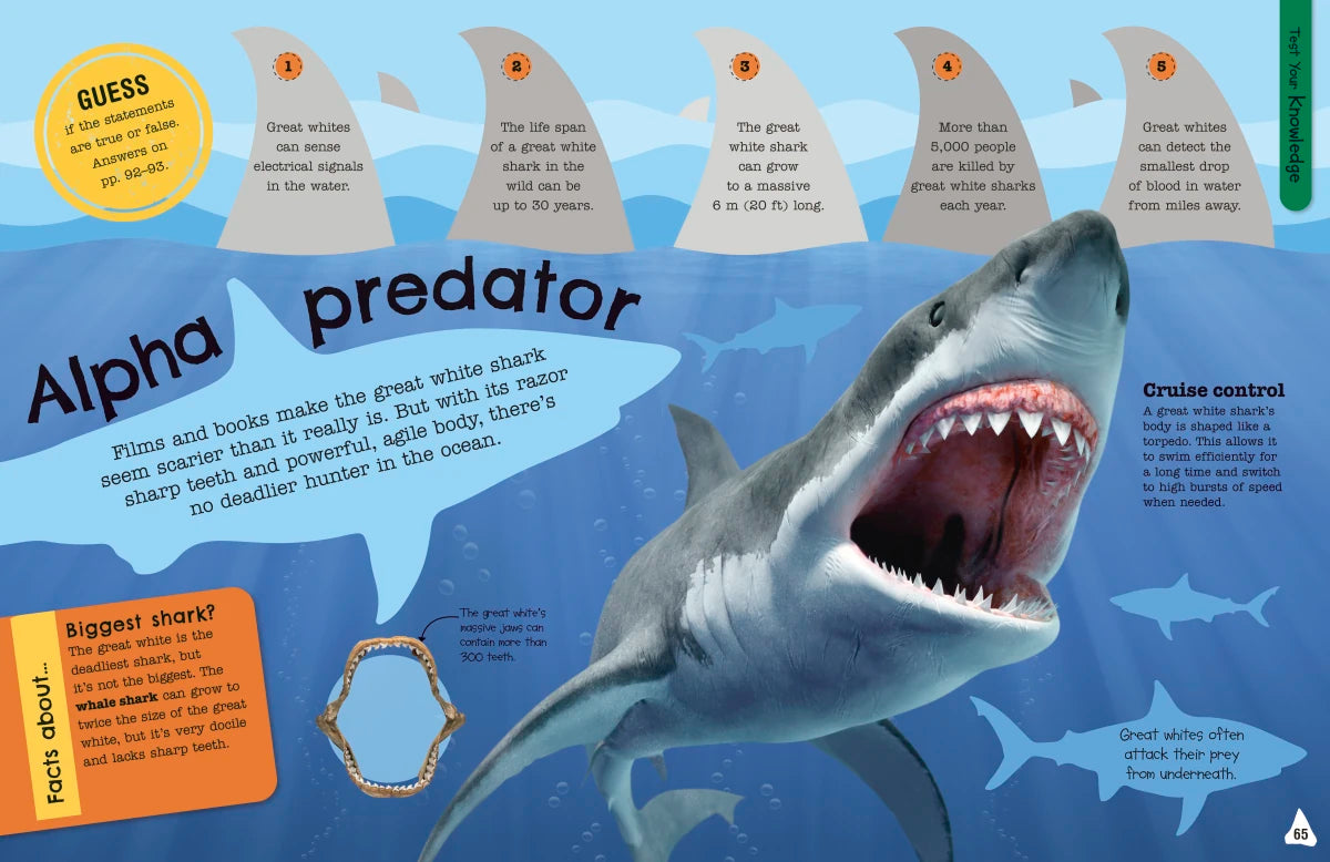 The Fact-Packed Activity Book: Sharks and Other Sea Creatures US - Paperback / softback