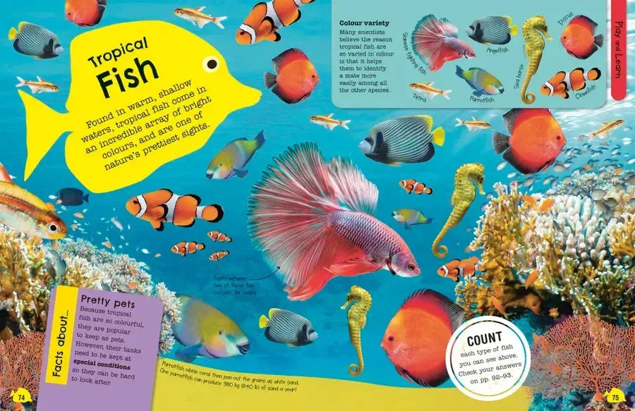 The Fact-Packed Activity Book: Sharks and Other Sea Creatures US - Paperback / softback