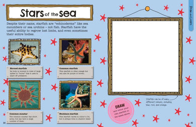 The Fact-Packed Activity Book: Sharks and Other Sea Creatures US - Paperback / softback