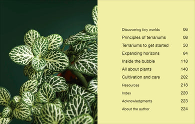 Hello Tiny World US - Hardback
