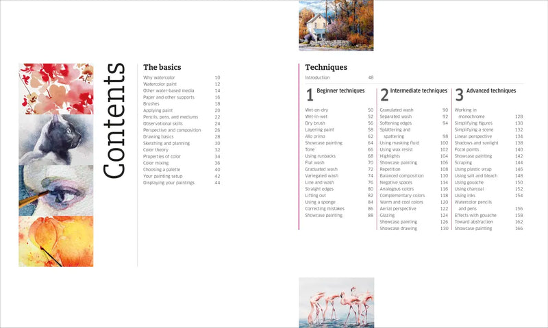 Artist's Watercolor Techniques US - Hardback