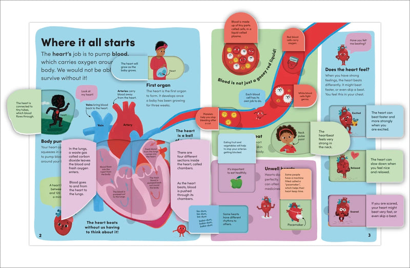 You and Your Body US - Board book