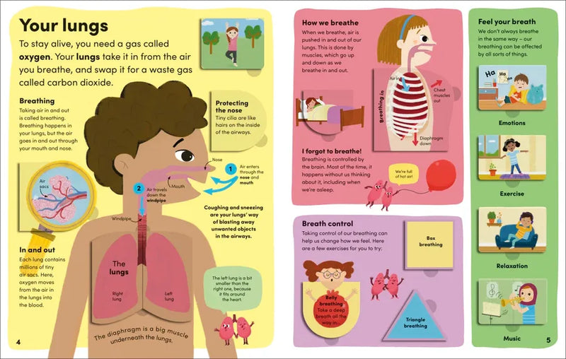 You and Your Body US - Board book