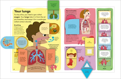 You and Your Body US - Board book