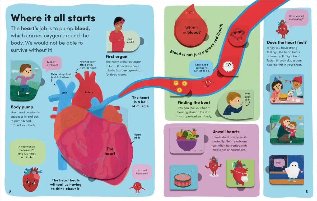 You and Your Body US - Board book