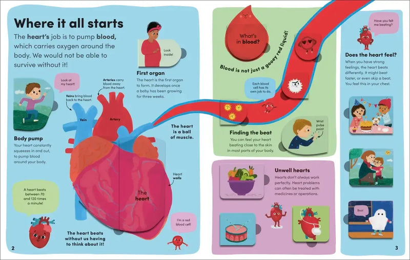You and Your Body US - Board book