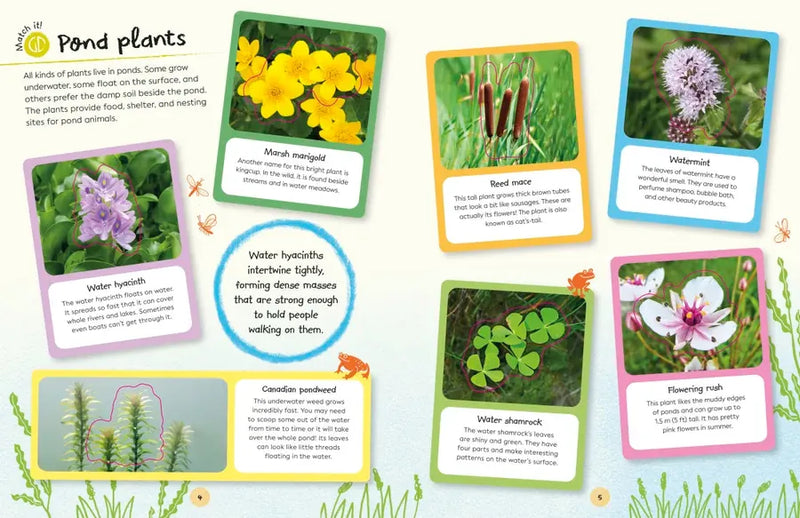 Ultimate Sticker Book Garden Pond US - Paperback / softback