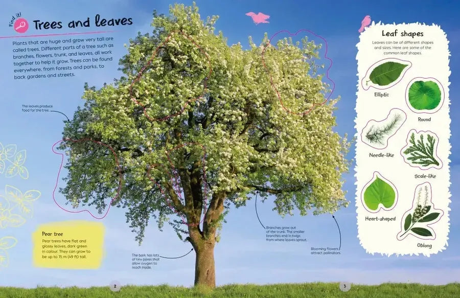 Ultimate Sticker Book Trees and Leaves US - Paperback / softback