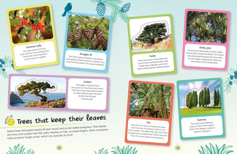 Ultimate Sticker Book Trees and Leaves US - Paperback / softback