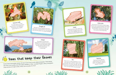 Ultimate Sticker Book Trees and Leaves US - Paperback / softback